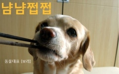 동물 대표도 선출... 뭐하는 짓이냐고요?