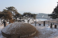 산골마을 주민들이 웬 어업계냐고?