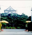 차창 틈으로 카메라 앵글을 맞춘 뒤 셔터를 누르다