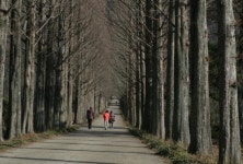 세계에서 가장 큰 고인돌을 만나다