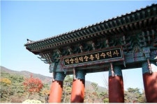 수덕사 대웅전이 어쨌다고요?