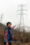 소·염소 시름시름 죽고, 주인은 백혈병