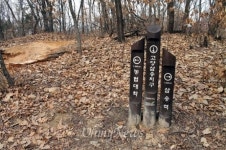 박 대통령이 마셨다는 막걸리, 감칠맛 나네
