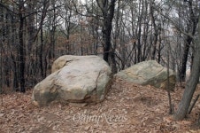 박 대통령이 마셨다는 막걸리, 감칠맛 나네