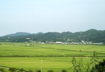 옛날에는 마을 별로 돼지도 잡고 거창했죠!