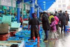 마지막 겨울여행, 동해안으로 떠나볼까