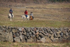 제주 돌담은 만리장성보다 길다