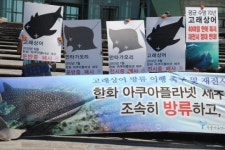 한화 아쿠아플라넷, 이래도 가고 싶나요