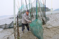 육 여사 저격 당하던 날, 해일이 섬을 덮쳤지