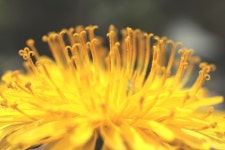 세월호 참사 이후 아무것도 할 수 없다면...