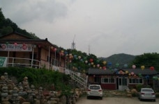 부처님 머리 위로 345kV... 어떻게 기도하나