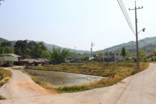 홍 이장의 하루는 무척 짧다