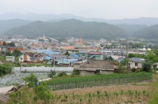 이래서 억지 춘양이라는 건가