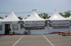 안산 사람들은 잊지 말라고... 기억과의 전쟁 시작된 세월호