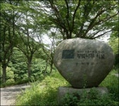5.5km 왕벚나무 길, 벚꽃 필 때 아니어도 좋네