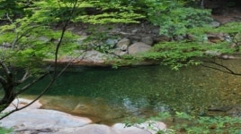 판소리가 구닥다리라고? 얼씨구! 좋다!