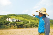 태양광발전의 그늘 숲이 위험하다!