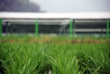 태양광발전의 그늘 숲이 위험하다!