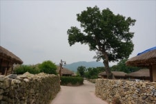 외암마을 돌담, 제주도보다 인상 깊네