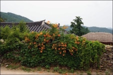 외암마을 돌담, 제주도보다 인상 깊네