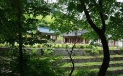 봉곡사 천년숲길서 그 파렴치한을 떠올리다