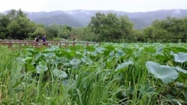 대부도가 꼭꼭 숨겨놓은 이곳, 참 좋네