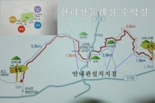 제주 숲길 속에 숨은 몇 가지 맛, 알려드리지요