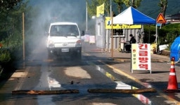 합천, 구제역 확산 방지 위해 돼지 1356마리 살처분