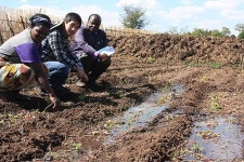 염소똥과 풀... 아프리카의 귀한 몸이 되다