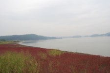 청나라에 함락된 강화도, 여자들이 바다로 뛰어든 이유