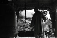 이 골짜기에서 죽고 죽이고... 종소리가 처연하다