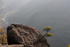 이 골짜기에서 죽고 죽이고... 종소리가 처연하다