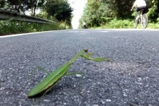 일제가 깐 우리나라 철도에 이런 속셈이...