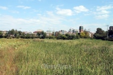 금개구리 때문에 생겨난 공원, 평생 지키려면...