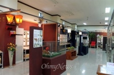 희귀 나비의 가격은 얼마나 될까, 관장에게 물어보니...