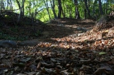 미스 부처님과 바람이 데려다 준 그곳