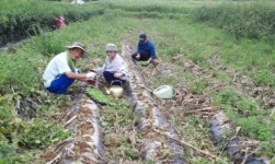 시골마을 한복판에 들어선 식당, 이런 비밀이