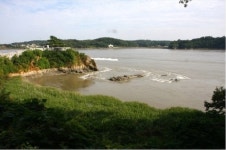 조선인들은 왜 제너럴셔먼호 선원들을 모조리 죽였나