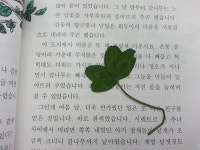 내리사랑 자리양보... 감사합니다, 어르신!