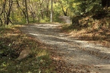 지리산 최고의 텃밭, 바로 여깁니다