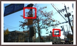 학교 앞 위험한 길... 안전속도 표시는 제각각?