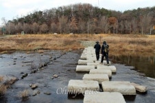 송강누리길에서 타조를 만나다