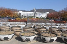 경남도청·창원시청 앞 가득 메운 화분... 왜?
