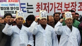 33년째 농사 짓고 있지만 마을에서 줄곧 막내
