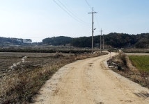 국보급 유물, 오래살고 싶어 경찰서에 보관했다