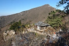 대흥사에는 해를 매단 나무가 있다