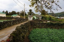 잣담, 집담, 돌담... 사랑할 수밖에 없다