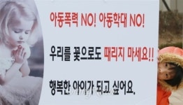 [오마이포토] 우리를 꽃으로도 때리지 마세요!