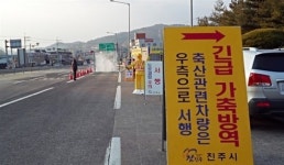 경남 고성군 오리 농가 AI 발생, 1만4천마리 살처분