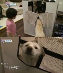 삼둥이네 집에 숨어있는 아뎌띠, 뭐하세요?